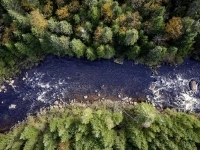 Vue aérienne d’une rivière entourée d’une dense forêt.